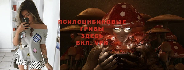 Альфа ПВП Беломорск