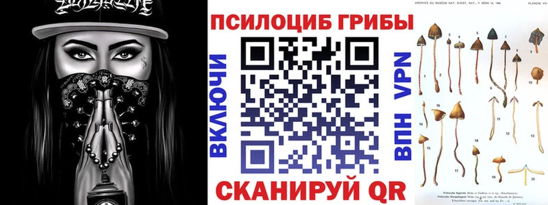 omg сайт купить Короча Галлюциногенные грибы GOLDEN TEACHER